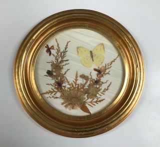 Vintage Mildred Roberts Gold Frame Dried Flower Butterfly Collage Wall Art 1960s