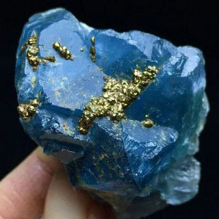71g Very Rare Granular Pyrite Based On The Translucent Deep Blue Cubic Fluorite