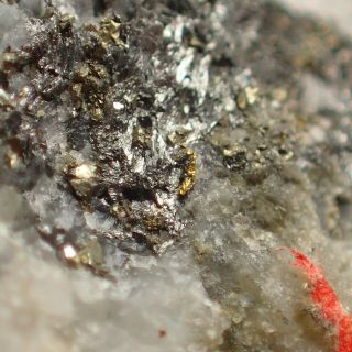 Gold In Cosalite From Rare Locality Alfenza Mine,  Piedmont,  Italy