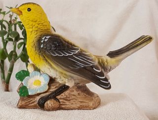 Rare,  Vintage Ceramic Finch Bird Planter,  Yellow & Black,  Hand Painted,  Ardco