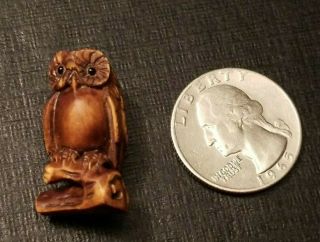 Vintage Netsuke Hand Carved Wood Owl On Branch Netsuke Bead 1 1/8 " Tx 5/8 " W