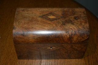 Antique Victorian Burr Walnut Veneer Tea Caddy Box For Restoration