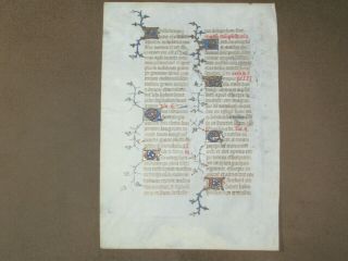 Rare Illuminated Medieval Vellum Manuscript Boh Leaf W/ Gold,  England,  C.  1375