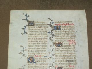 RARE Illuminated Medieval Vellum Manuscript BOH Leaf w/ Gold,  ENGLAND,  c.  1375 2