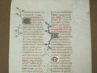 RARE Illuminated Medieval Vellum Manuscript BOH Leaf w/ Gold,  ENGLAND,  c.  1375 4
