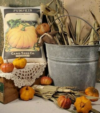 Old Primitive Vintage Victorian Shaker Folk Art Garden Pumpkin Seed Pack Pillow