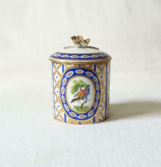 Fine Quality Antique 19th Century French Sevres Porcelain Lidded Pot