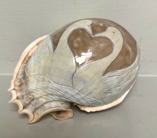 Large Vintage Conch Shell Cameo Carving Swans Heart Design Seashell Art