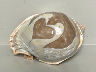 Large Vintage Conch Shell Cameo Carving Swans Heart Design Seashell Art 2