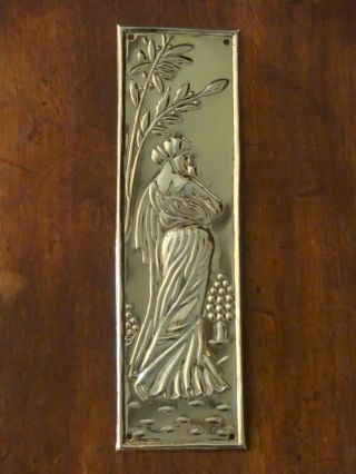 Reclaimed Brass Art Nouveau Finger Door Push Plate Fingerplate Handles Knobs