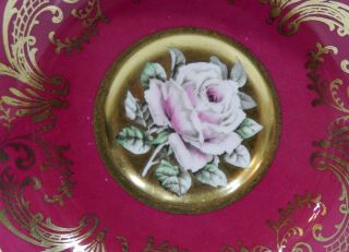 Rare PARAGON FLOATING PINK ROSE on GOLD CUP & SAUCER Hand Painted c1952 - 60 5