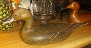 Vintage Pintail Hen Duck Decoy West Coast Orig Rare Ca.  Carved Wing Feathers