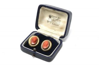 A Rare Antique Early Victorian 15ct Gold Carved Coral Cameo Earrings