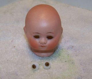 German Bisque Doll Head Small Baby Doll