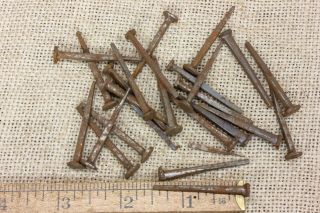 Old Square 1 1/2” Nails 1/4 " Head 25 Qty Vintage 1880’s Iron Antique Rust Patina