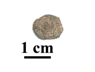 Rare Nwa 10720 Nakhlite Martian Meteorite,  Fragment,  0.  73 Grams