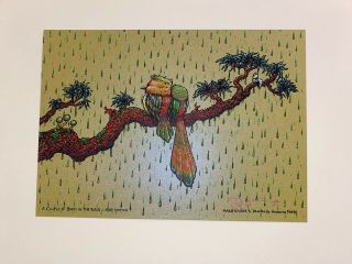 Marq Spusta Art Print A Couple Of Birds In The Rain Signed Chlorophyll Rare