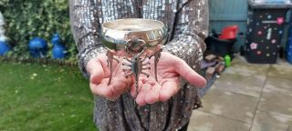 An Antique Silver Plated Dish With Scorpion Legs.  Late 1800.  S.  Very Rare.