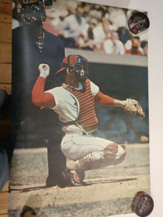 Tim Mccarver St.  Louis Catcher Sports Illustrated Poster - Rare -