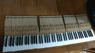 54 White Capen 36 Black Antique Piano Keys For Arts Crafts Parts
