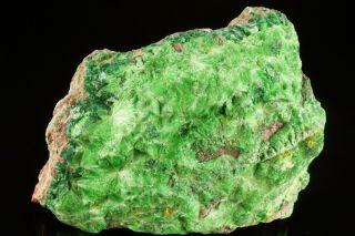 Rare Cuprosklodowskite & Metatorbernite Crystal Musonoi Mine,  Congo - Ex Lemanski
