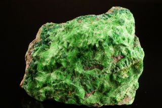 RARE Cuprosklodowskite & Metatorbernite Crystal MUSONOI MINE,  CONGO - Ex Lemanski 4