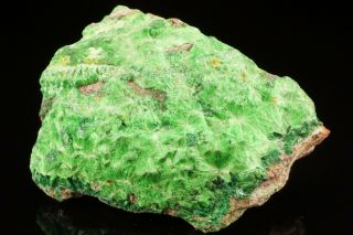 RARE Cuprosklodowskite & Metatorbernite Crystal MUSONOI MINE,  CONGO - Ex Lemanski 6