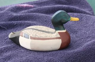 Carved Painted Mallard Drake Duck Decoy,  Signed F H Sutton Jr,  Sea Isle City Nj