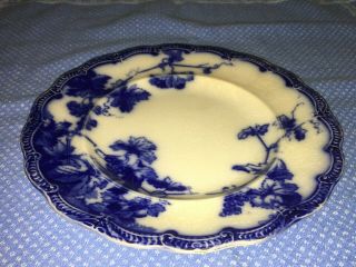 Antique Ridgeway Pottery Lonsdale Flow Blue Semi - Porcelain 8 