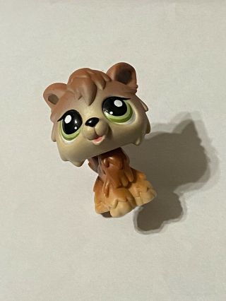 Rare Littlest Pet Shop Authentic 2141 Brown Tan Timber Wolf Dog Green Eyes