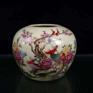 Chinese Exquisite Porcelain Hand - Painted Flower And Bird Jar 888069