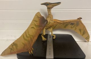 Jurassic Park Iii 3 Pteranodon Rare Dinosaur Toy Re - Ak A - Tak Figure Hasbro