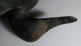 Vintage Mason Premier Grade Wooden Duck Decoy Canvasback Hen RARE Antique 3
