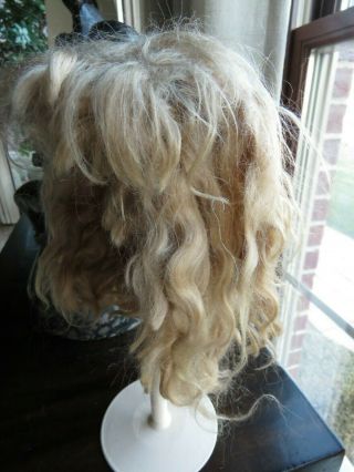 LARGE ANTIQUE MOHAIR WIG FOR ANTIQUE DOLL 3