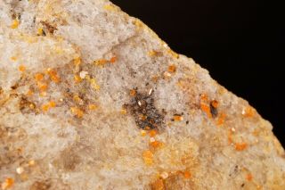 RARE LOCALE Stolzite Crystal on Quartz MARIANA,  BRAZIL - Ex.  Lemanski 3