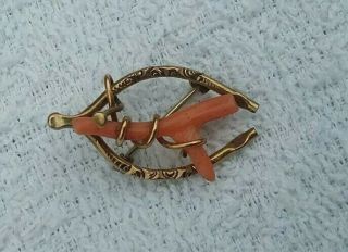 Antique Coral Pin 1800 