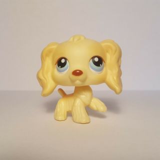 Littlest Pet Shop Lps 91 Rare Blonde Cocker Spaniel Dog W/ Blue Eyes