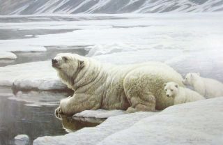 Vintage Art Robert Bateman 2 In 1 Arctic Family 1978 Polar Bear Cubs Penguins