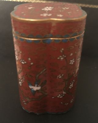 Antique Chinese Bronze Cloisonné Enamel Opium Canister Jar Snuff Box With Birds 2