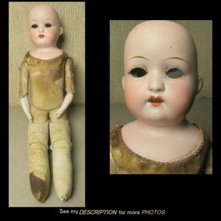 Antique Ernst Heubach Koppelsdorf 13 " Bisque Head Doll