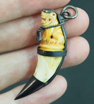 Real Old Wild Boar Pig Tooth Tiger Carved Thai Amulet Power Silver Case Pendant