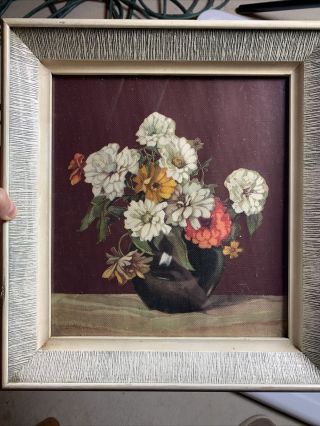 Vintage Framed Zinnia Flower Print By Nelly Littlehale Murphy Mid - Century Art