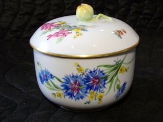 Antique Meissen Porcelain Floral Sugar Bowl Gold Trim Hand Painted Flowers