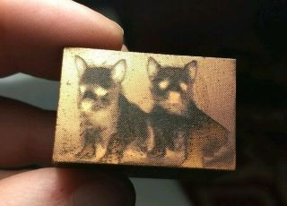 Vintage Letterpress Printing Block Terrier? Puppy Dogs Scottie?