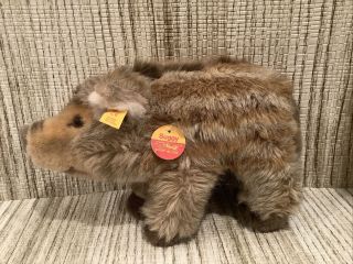 Rare Vintage German Steiff Stuffed Animal Young Boar W/ Button & Tag “suggy”