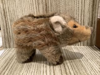Rare Vintage German Steiff Stuffed Animal Young Boar w/ Button & Tag “Suggy” 3