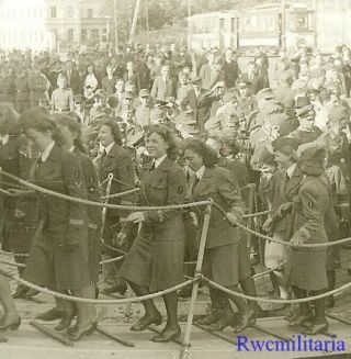 Rare Female Luftwaffe Uniformed Blitzmädel Helferin Girls Boarding Ship