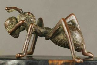 Chinese Bronze Copper Feng Shui Wealth Animals Like Ants