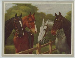 Old 1908 Antique Print 4 Horses By Robert Lindner Titled " Equine Aristocracy "