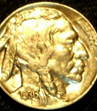 Rare - 1936 Buffalo Nickel 5c Ddo (3 1\2 Legged Variety) - Rare Awesome